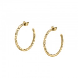 CREOLE EARRINGS SS+IP GOLD